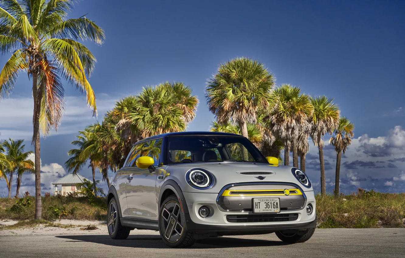 Photo wallpaper palm trees, Cooper, silver, MINI, 2020, SE