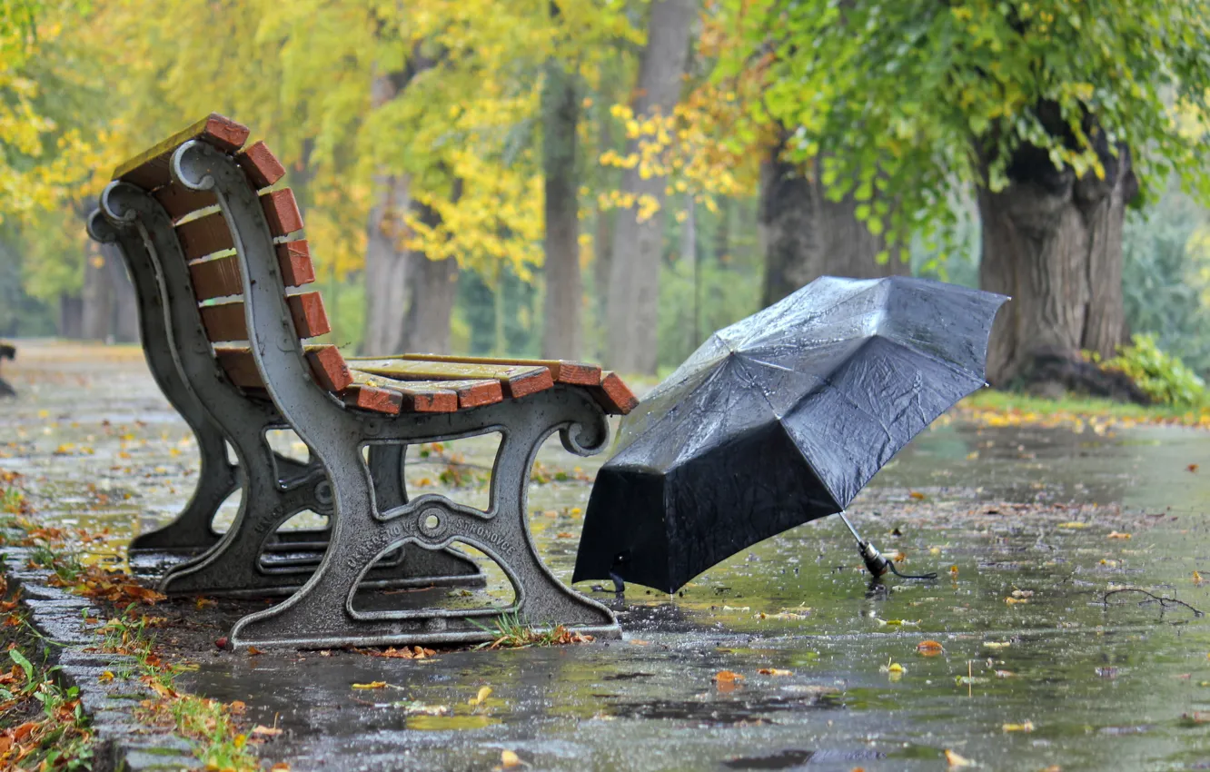 Photo wallpaper street, umbrella, bench