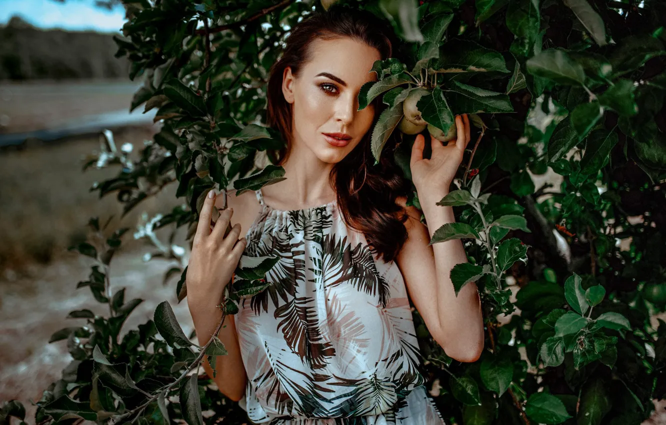 Photo wallpaper look, girl, trees, hands, Damian Feather, Ursula Święcicka