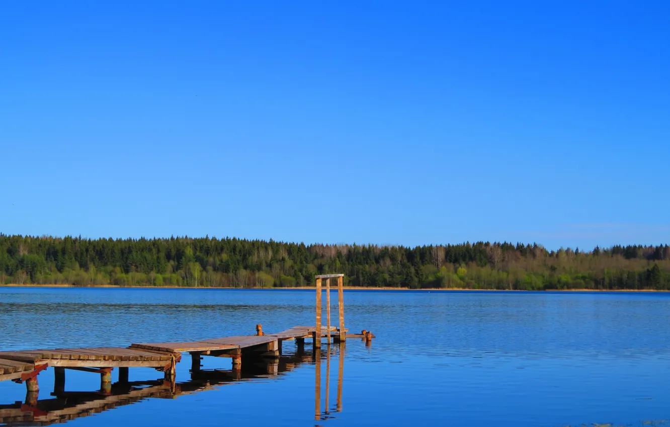 Photo wallpaper forest, lake, the bridge, Eagle