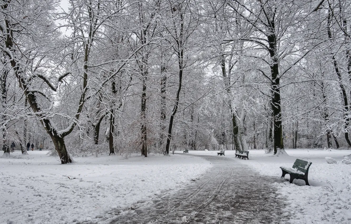 Photo wallpaper winter, Park, bench