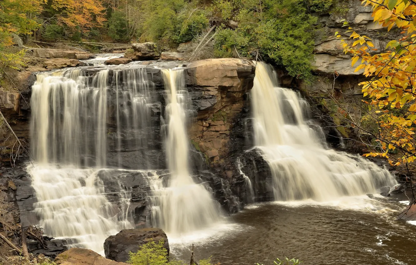 Photo wallpaper forest, nature, waterfall, stream