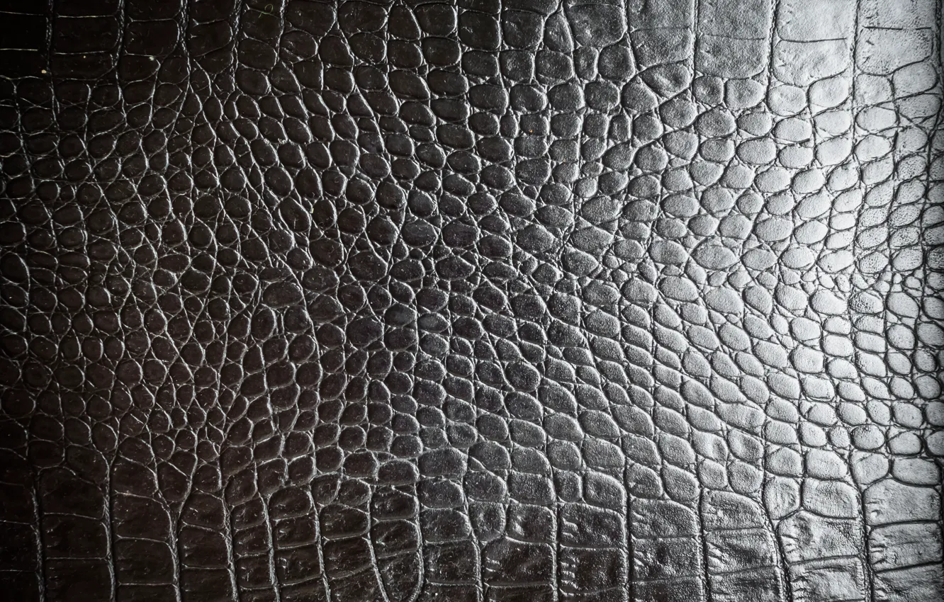 Photo wallpaper Black, Leather, Texture