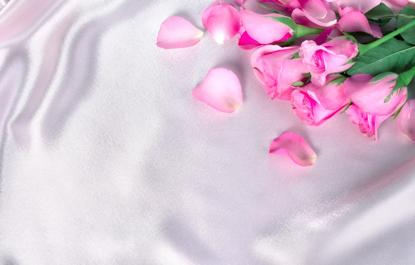 Photo wallpaper flowers, roses, petals, silk, pink, buds, fresh, pink