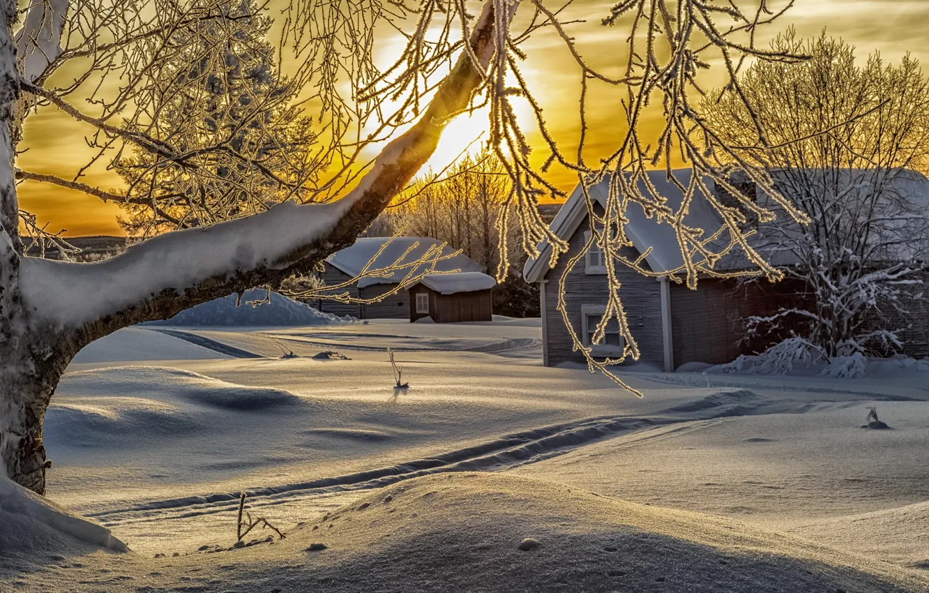 Photo wallpaper winter, the sun, snow, trees, branches, nature, home
