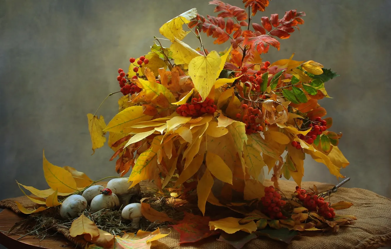Photo wallpaper autumn, leaves, mushrooms, bouquet, still life, Rowan, mushrooms