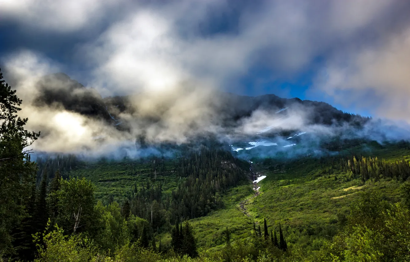 Photo wallpaper forest, trees, mountains, fog, USA, the bushes, Glacier National Park, Montana