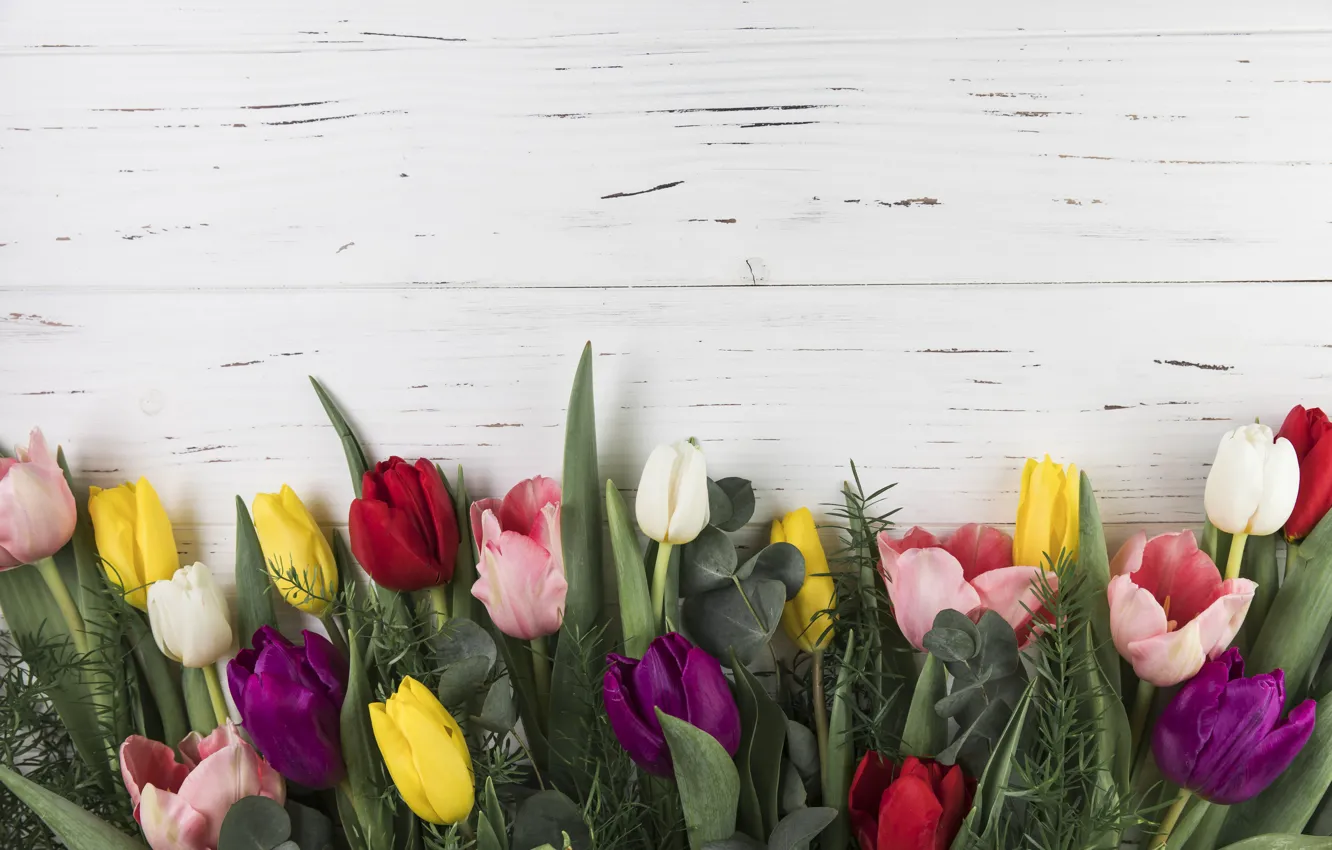 Photo wallpaper flowers, colorful, tulips, wood, flowers, beautiful, tulips, spring