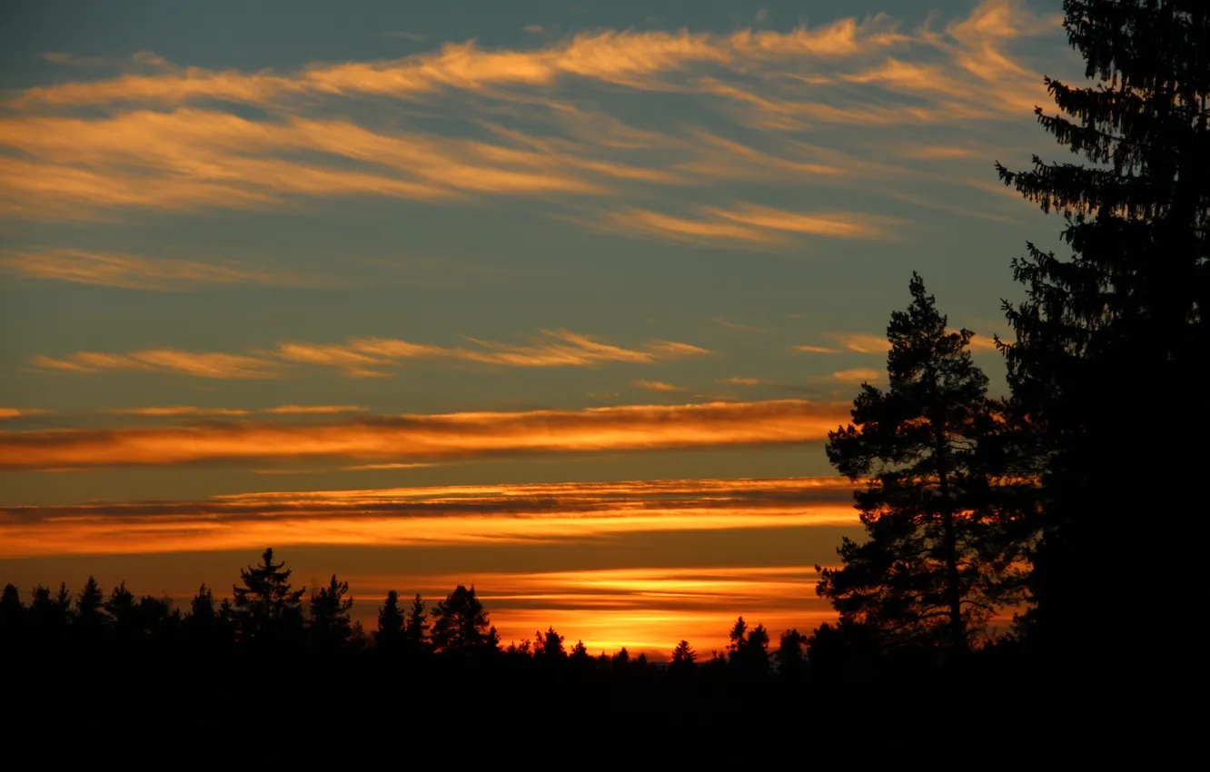 Photo wallpaper the sky, trees, sunset, Finland