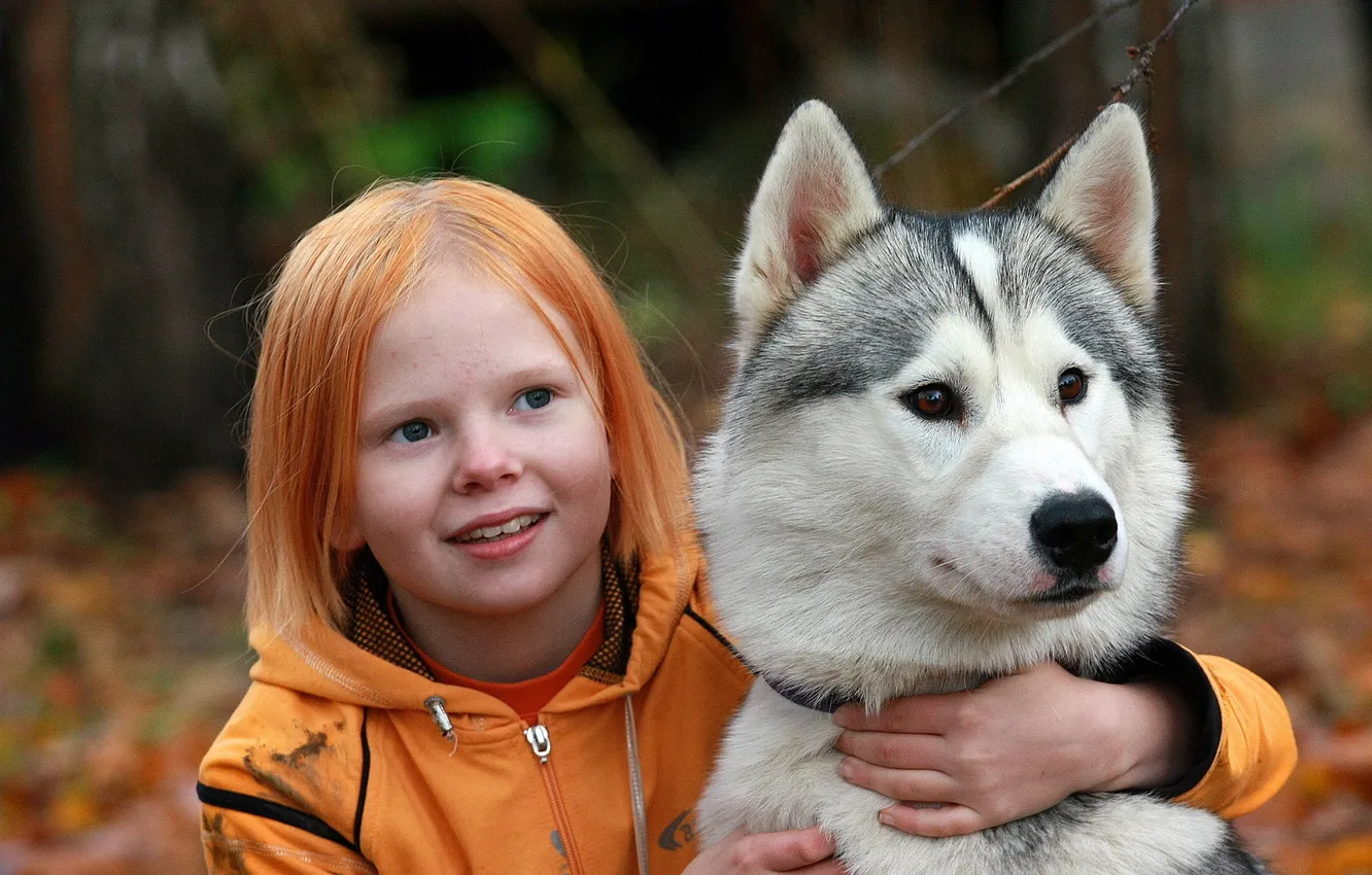Photo wallpaper each, dog, girl, husky