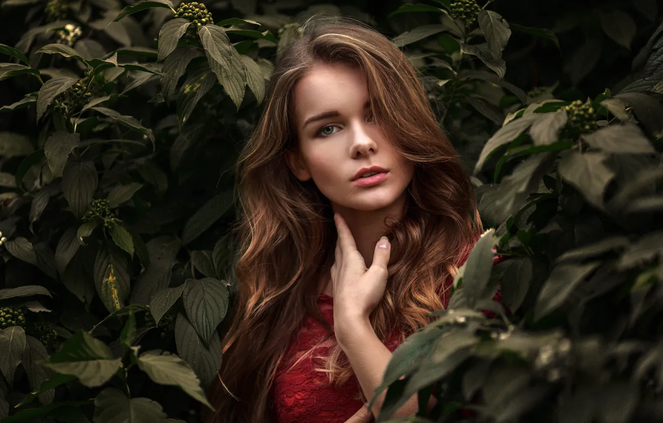 Photo wallpaper look, girl, face, green, sweetheart, foliage, portrait, makeup