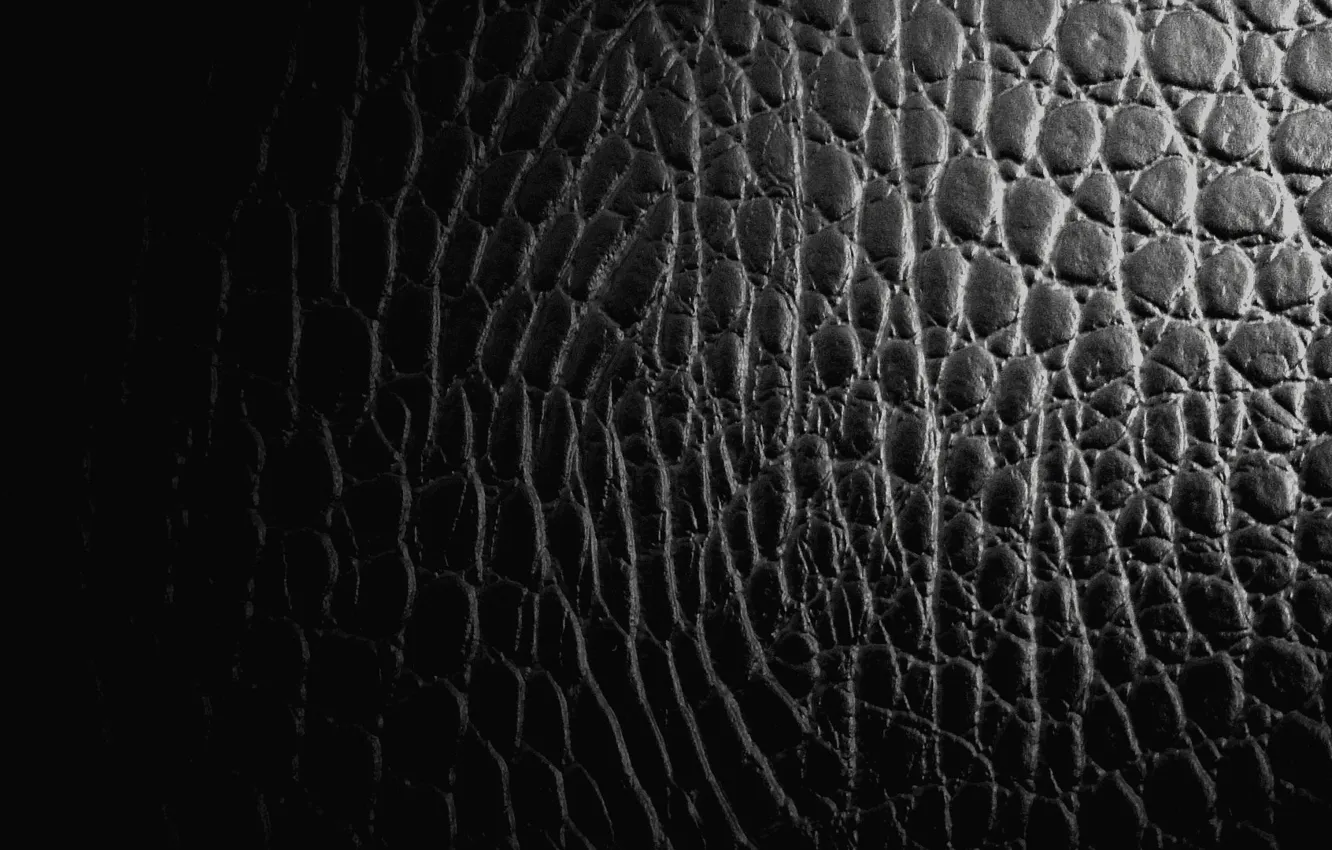 Photo wallpaper background, black, leather, crocodile, texture, reptile