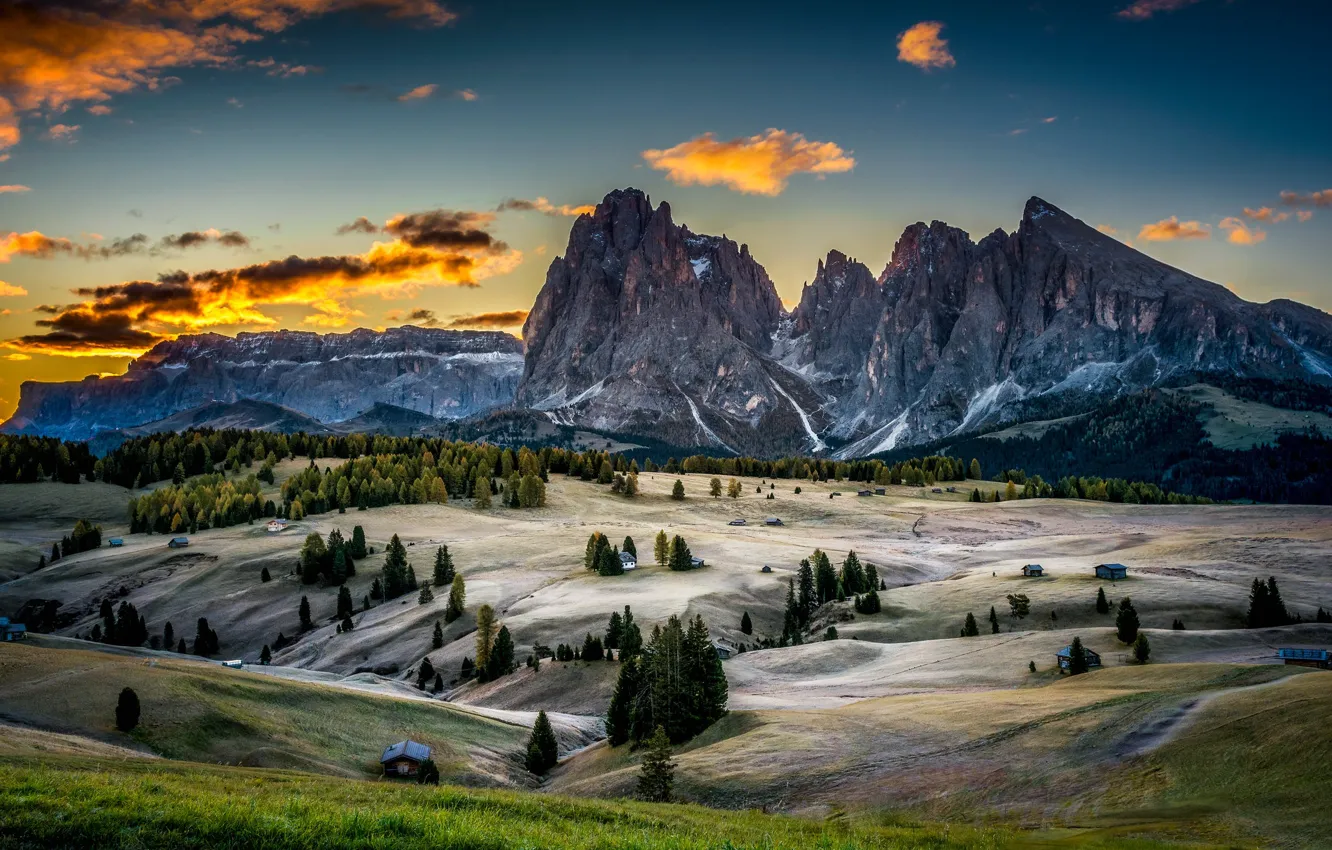 Photo wallpaper field, mountains, Alps