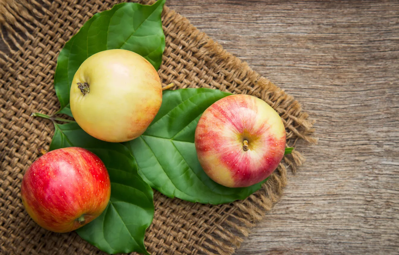 Photo wallpaper apples, fruit, matting