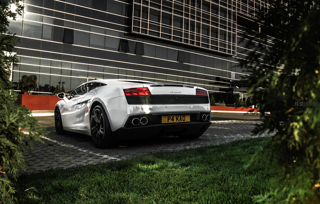 Photo wallpaper road, greens, white, grass, leaves, the sun, trees, the city