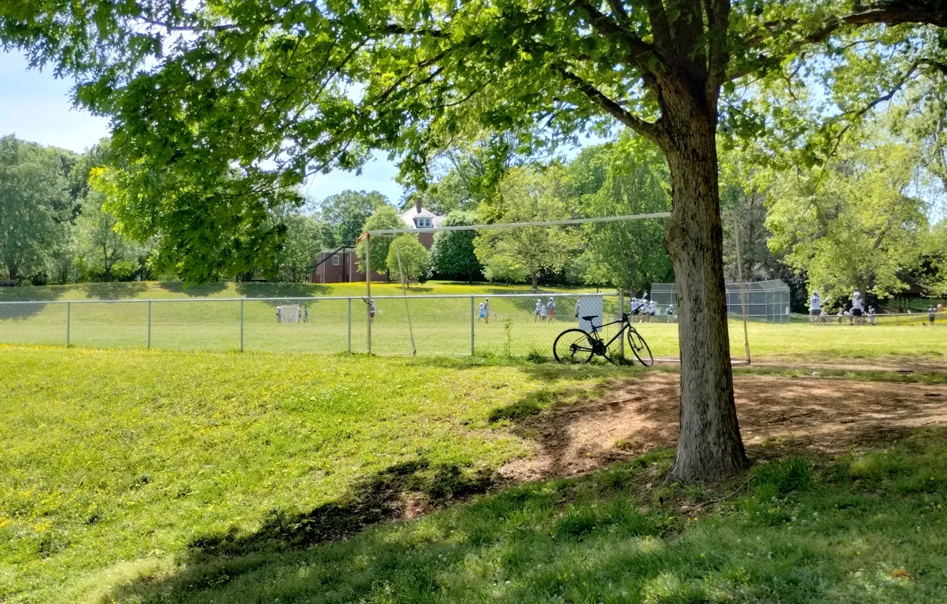 Photo wallpaper parks, Raleigh, Fred Fletcher Park