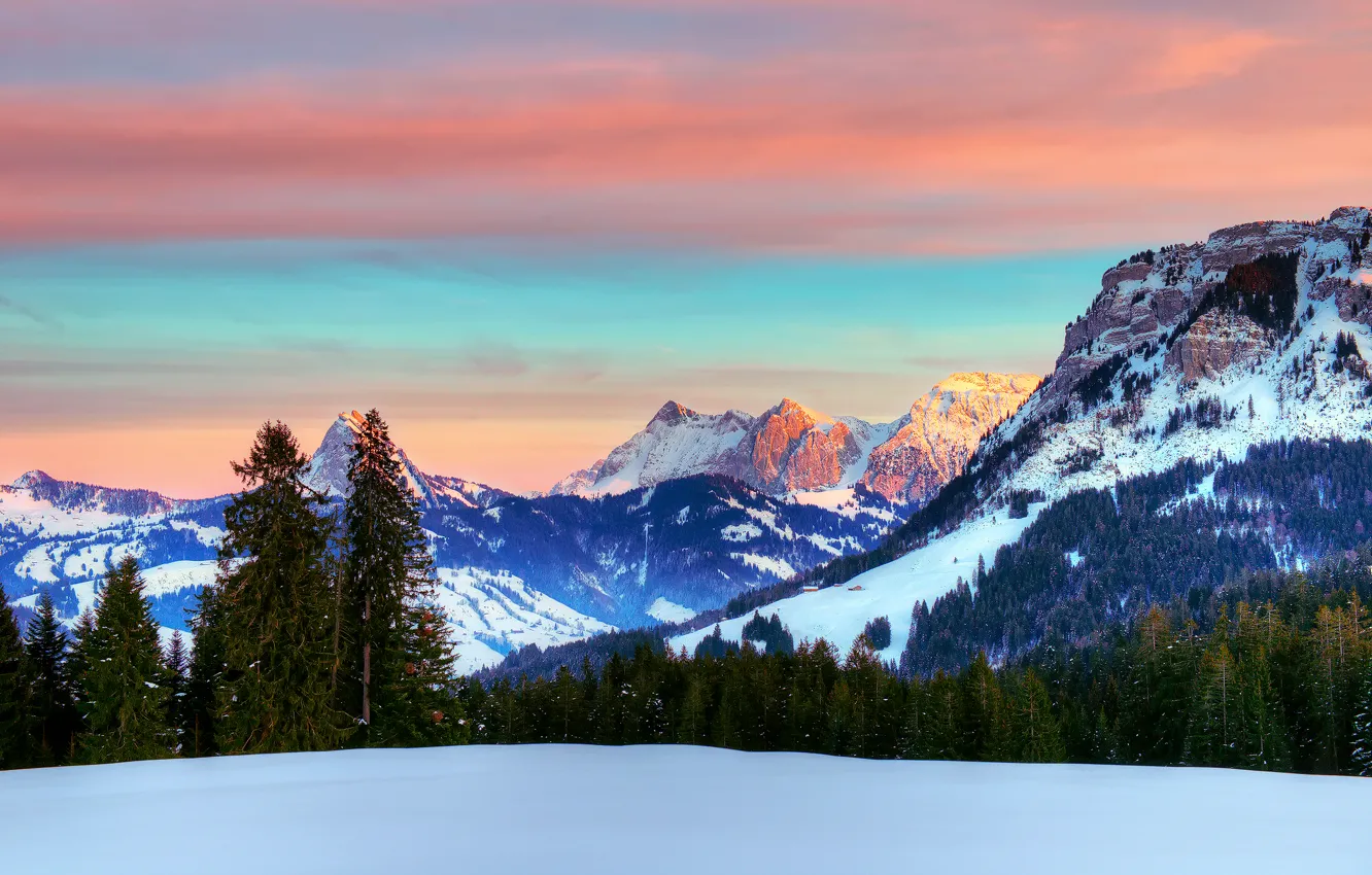 Photo wallpaper winter, forest, the sky, clouds, snow, mountains, Switzerland, Alps