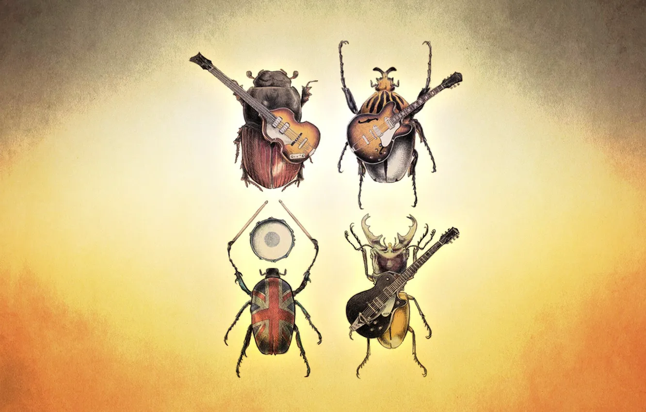 Photo wallpaper group, bugs, rock, Liverpool, four, rock band, the beatls
