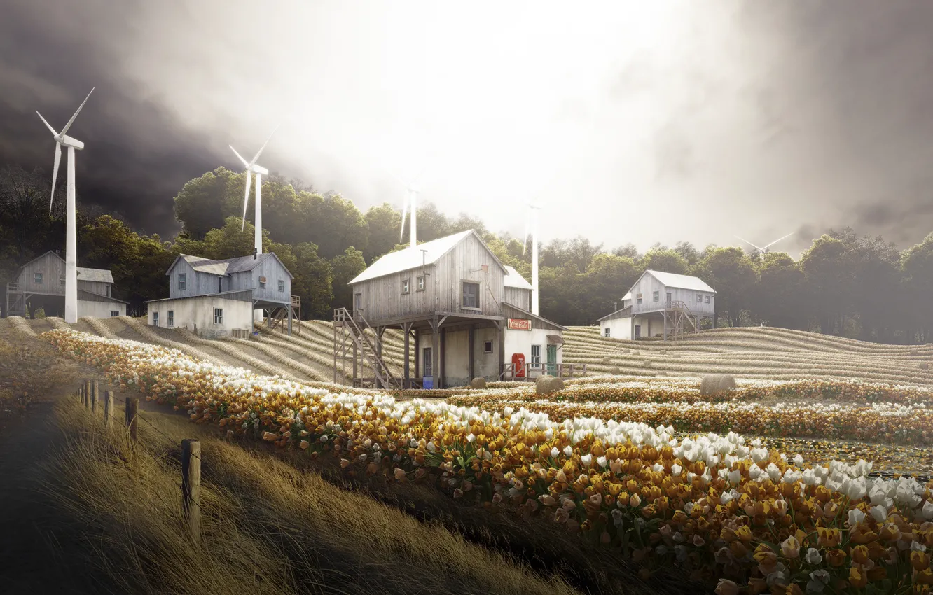 Photo wallpaper field, trees, home, windmills, Tulip flower in the Netherlands