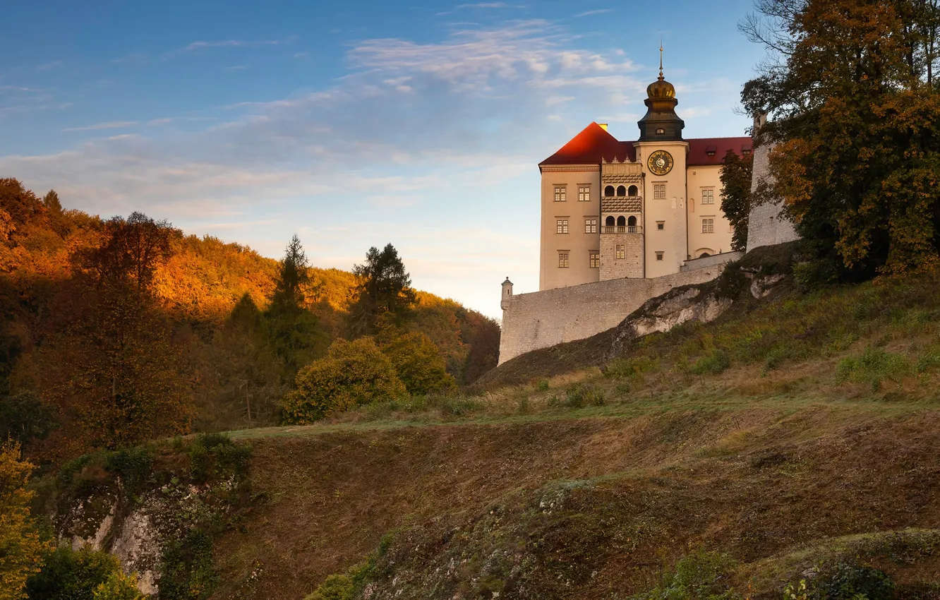 Photo wallpaper forest, the sky, trees, castle, hills