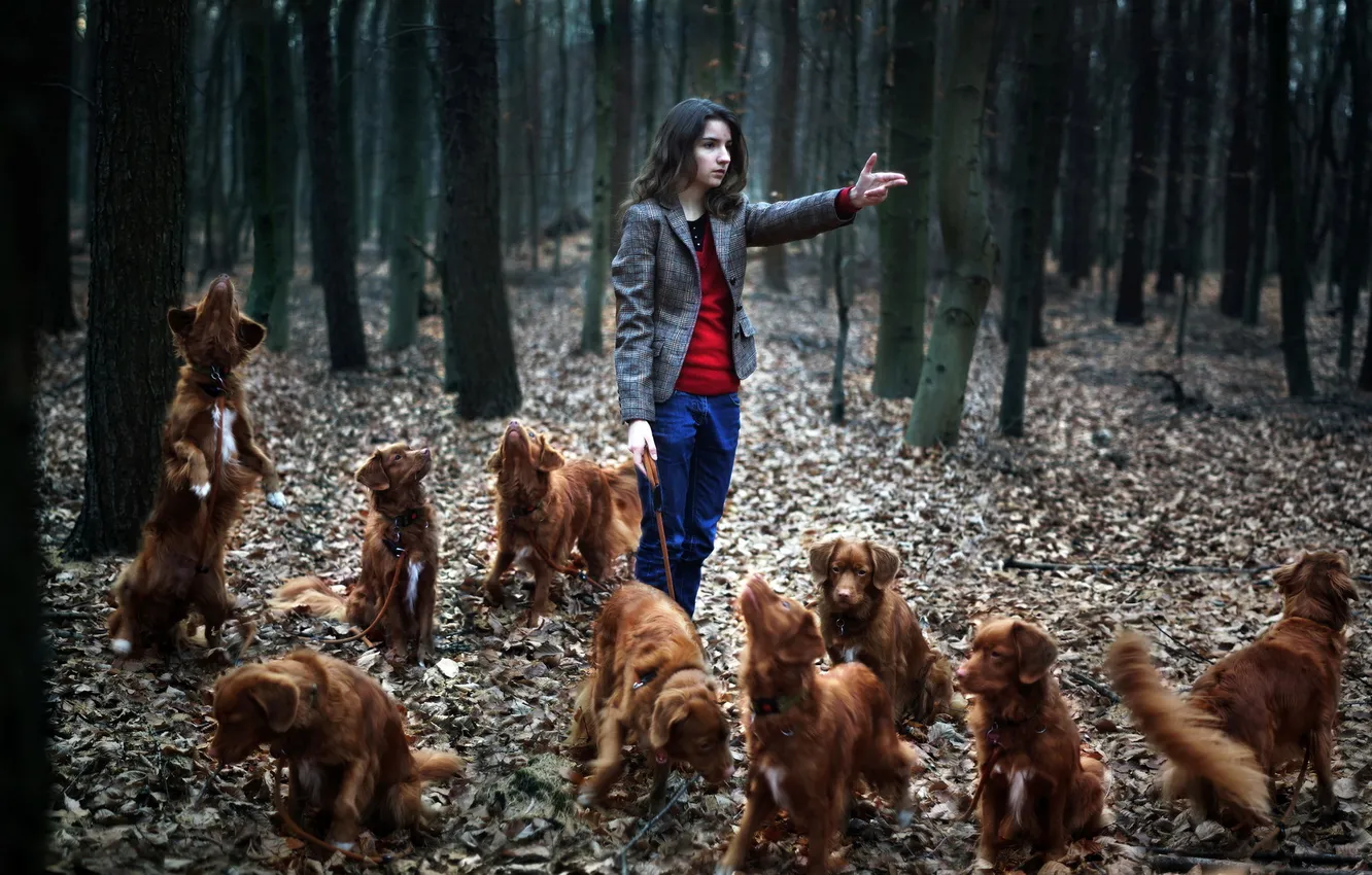 Photo wallpaper forest, girl, dog