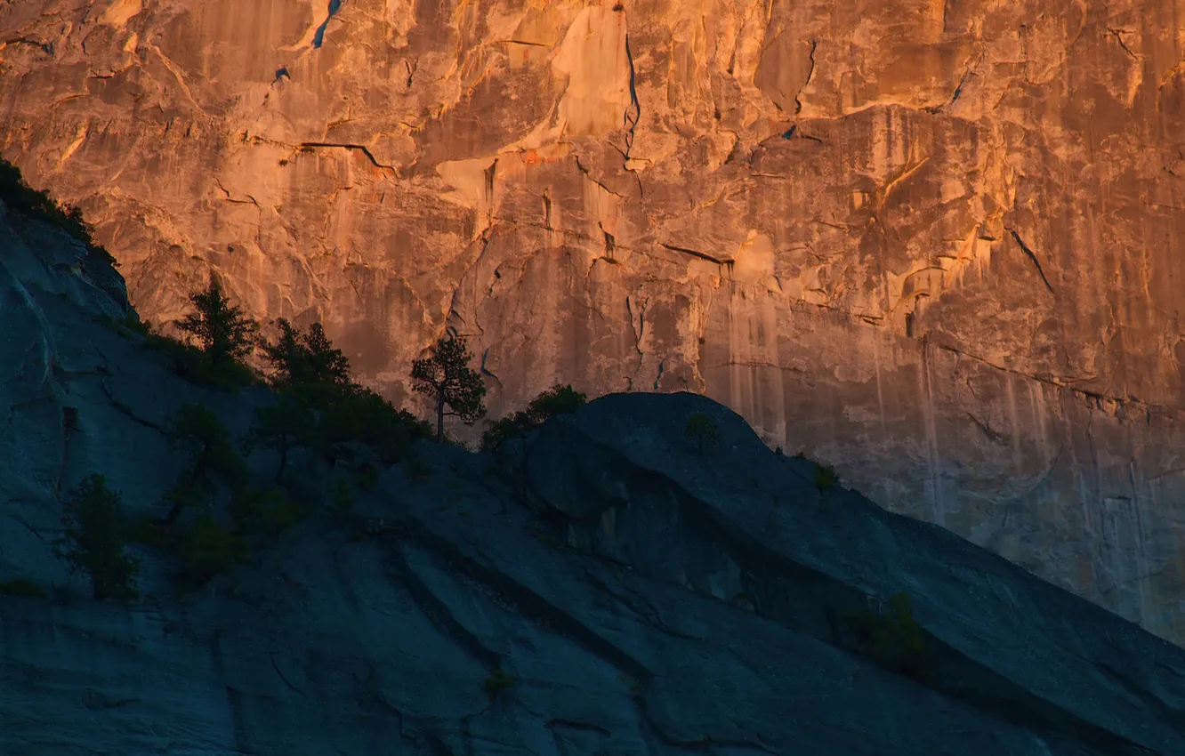 Photo wallpaper trees, sunset, mountains, rocks