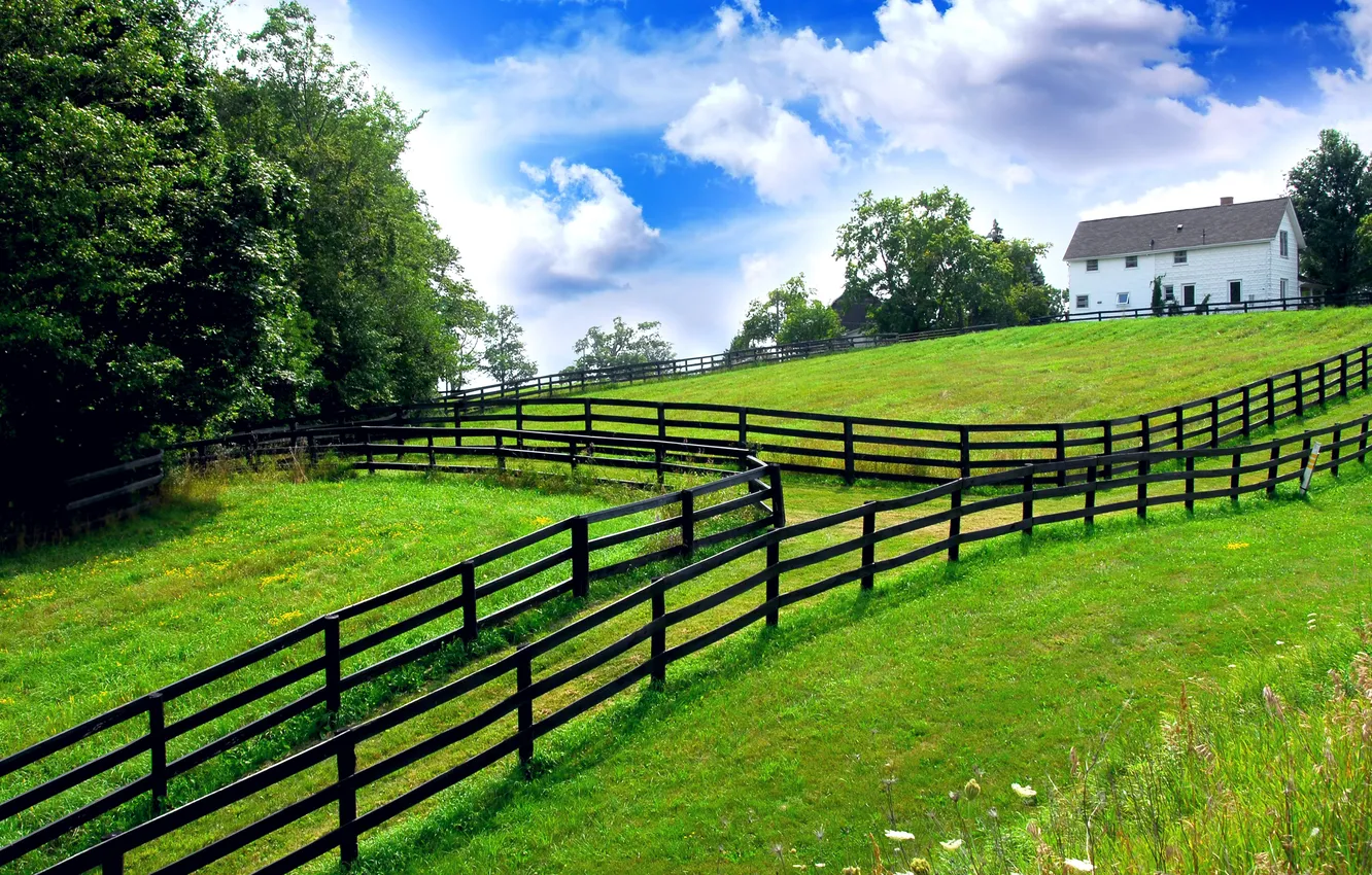 Photo wallpaper the sky, grass, trees, nature, blue, fence, garden, track