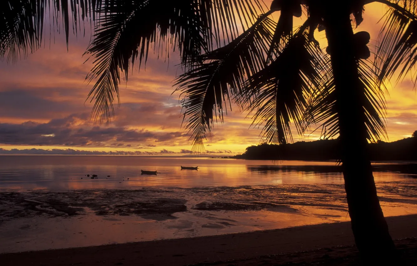 Photo wallpaper sunset, palm trees, island