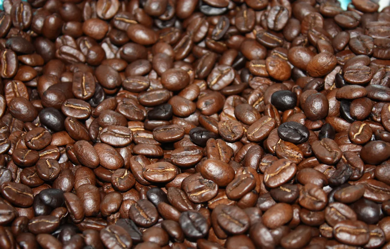 Photo wallpaper brown, beans, coffee, roasted, caffeine