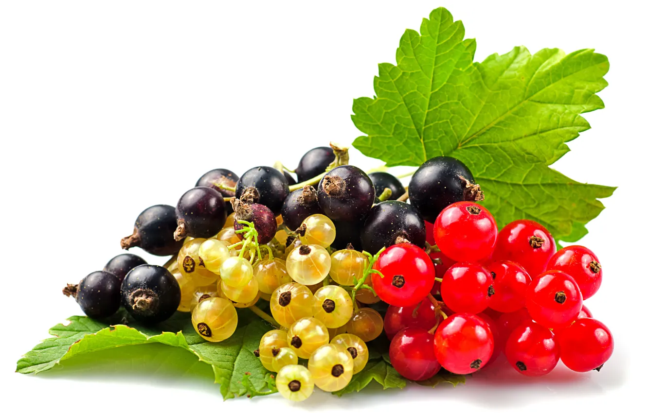 Photo wallpaper berries, red currant, black currant, white currants