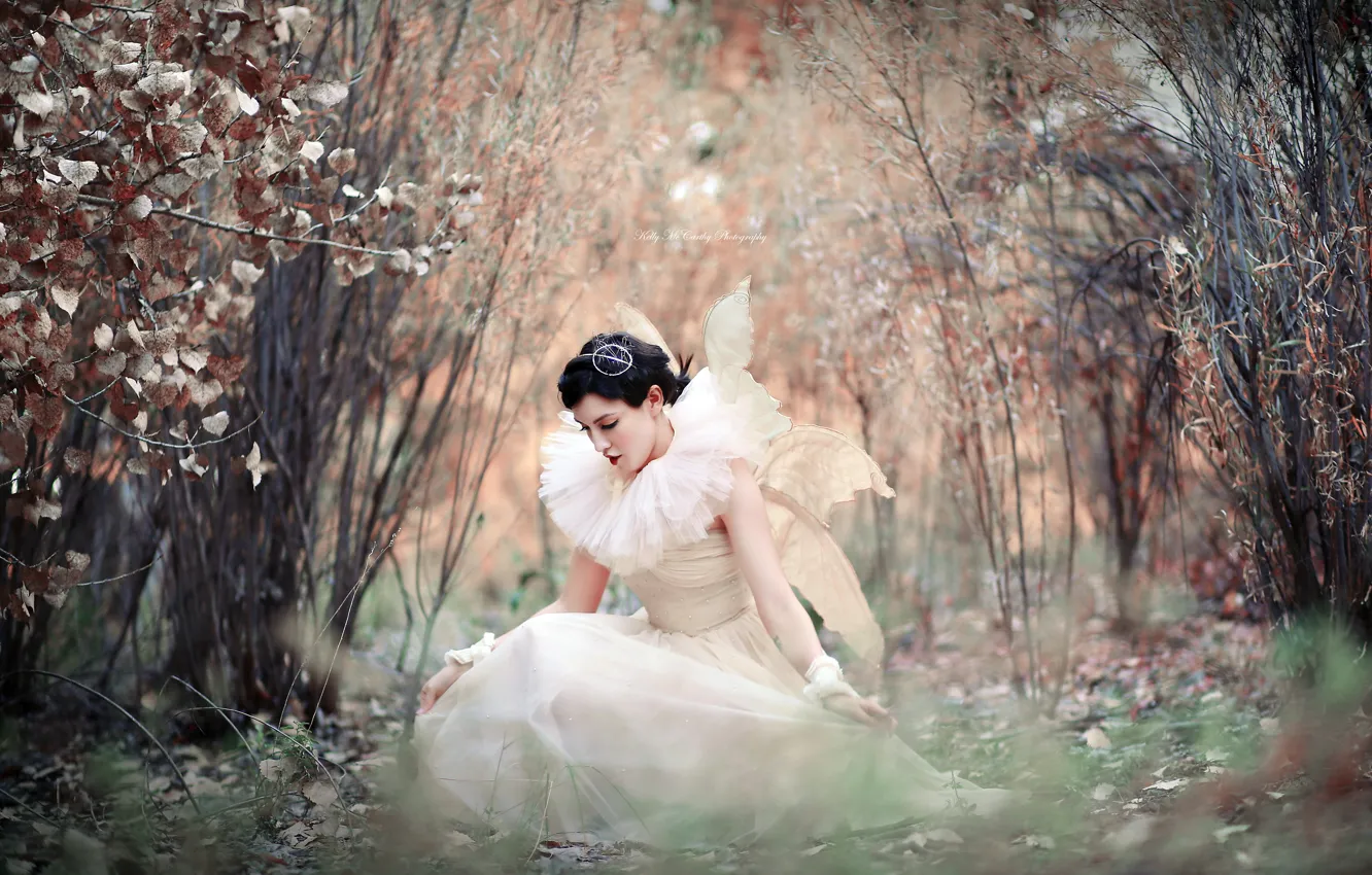 Photo wallpaper girl, nature, style