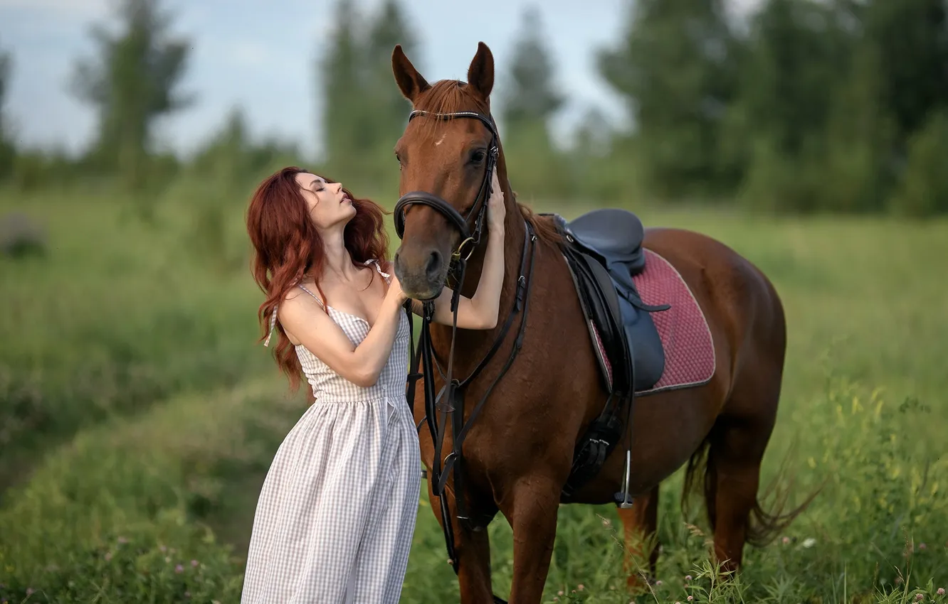 Photo wallpaper greens, forest, grass, horse, dress, saddle