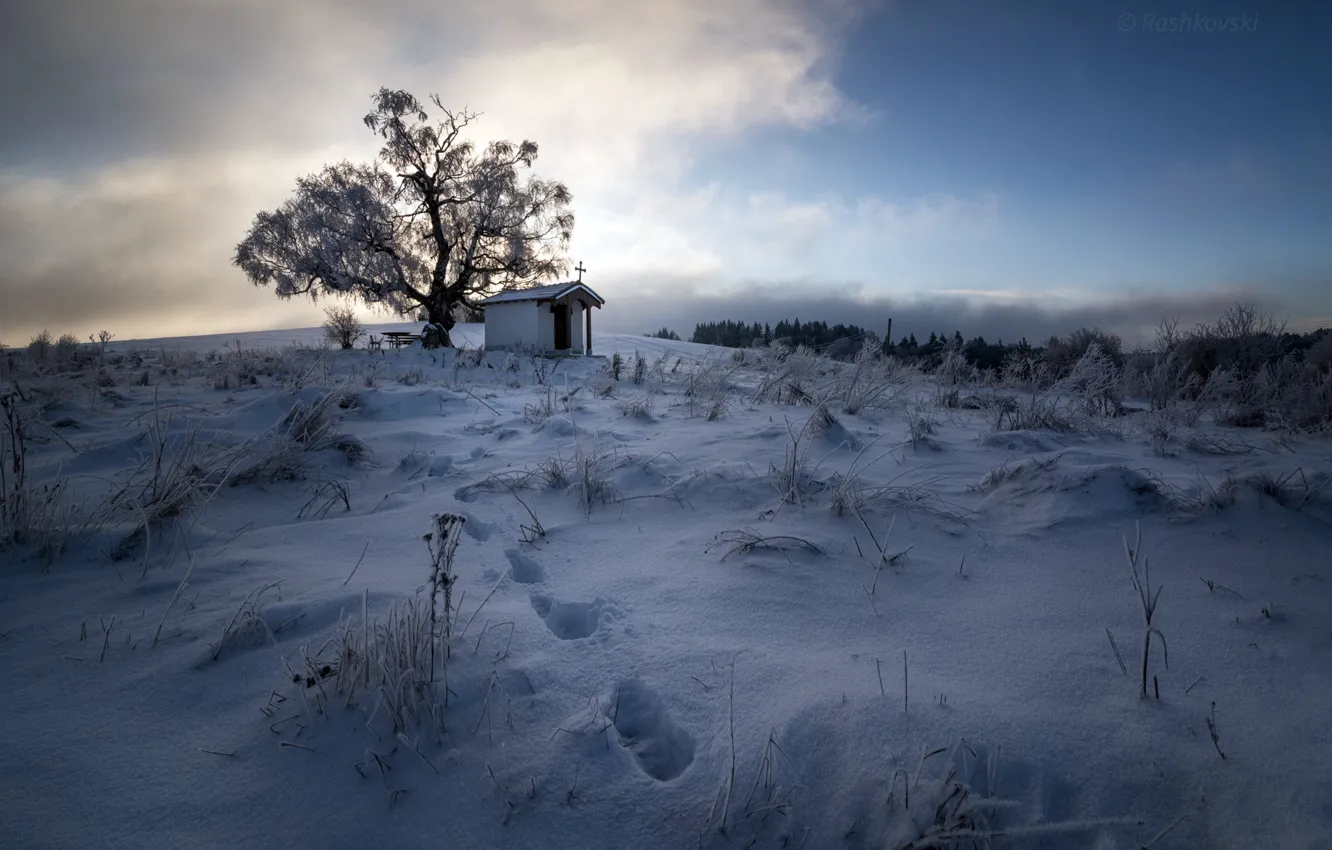 Photo wallpaper winter, field, snow, temple