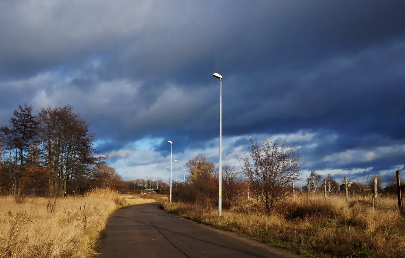 Photo wallpaper road, sky, cloud, tree, meadow