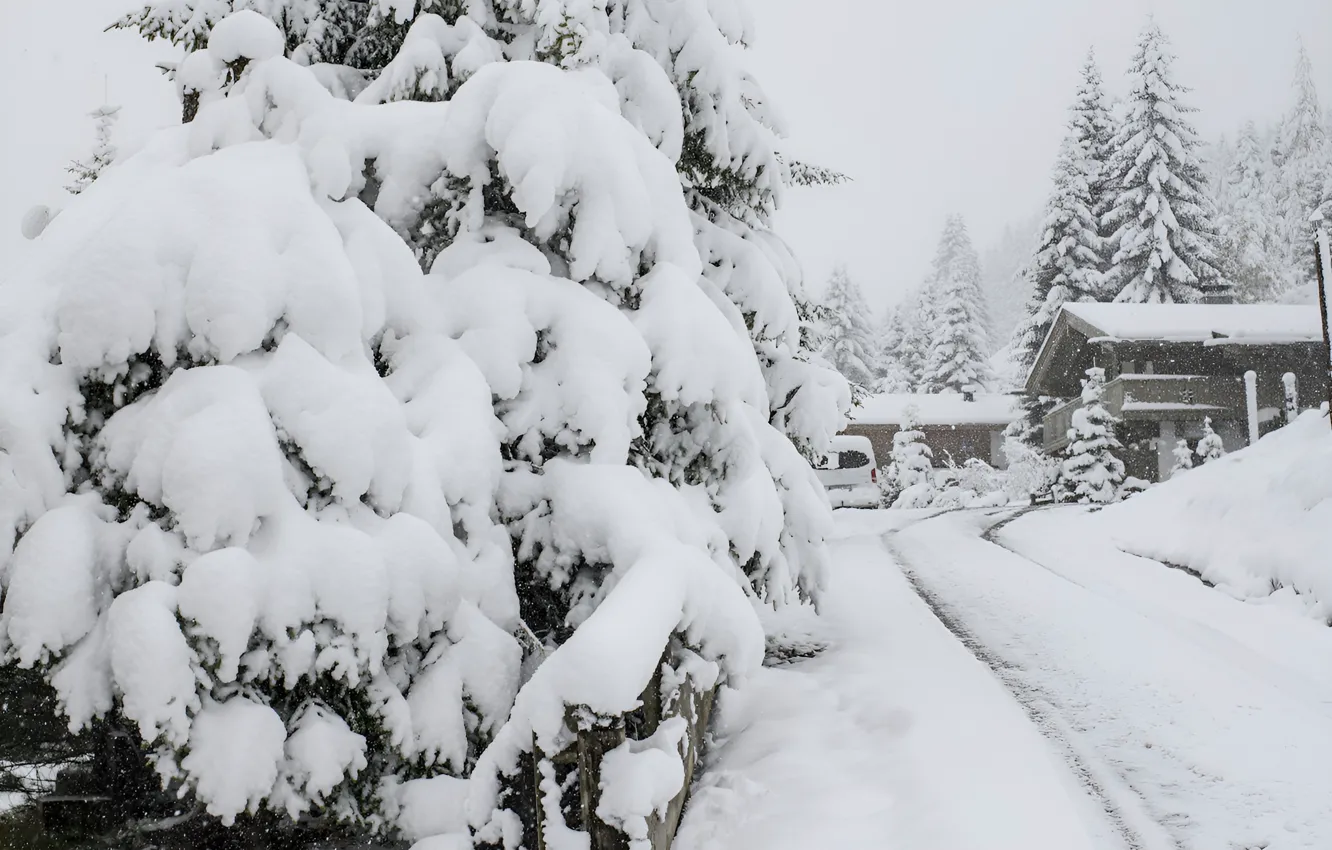 Photo wallpaper forest, snow, nature, forest, nature, snow, Snow Houses, Snowy Houses