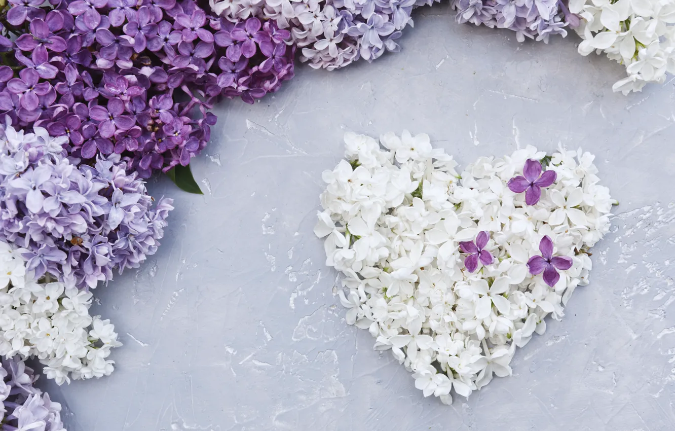 Photo wallpaper flowers, heart, love, white, heart, flowers, lilac, romantic