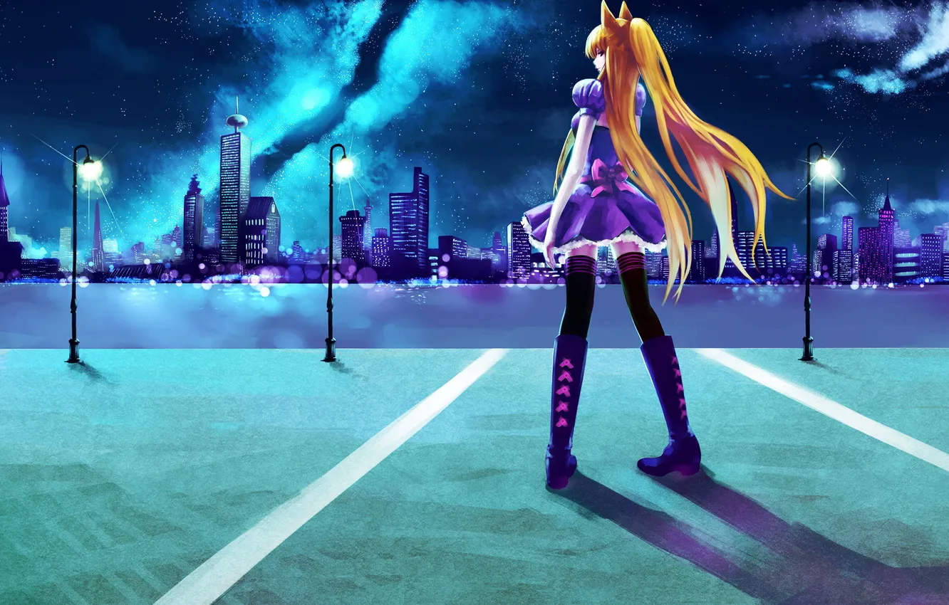 Photo wallpaper the sky, water, girl, the city, shadow, lights, bridge