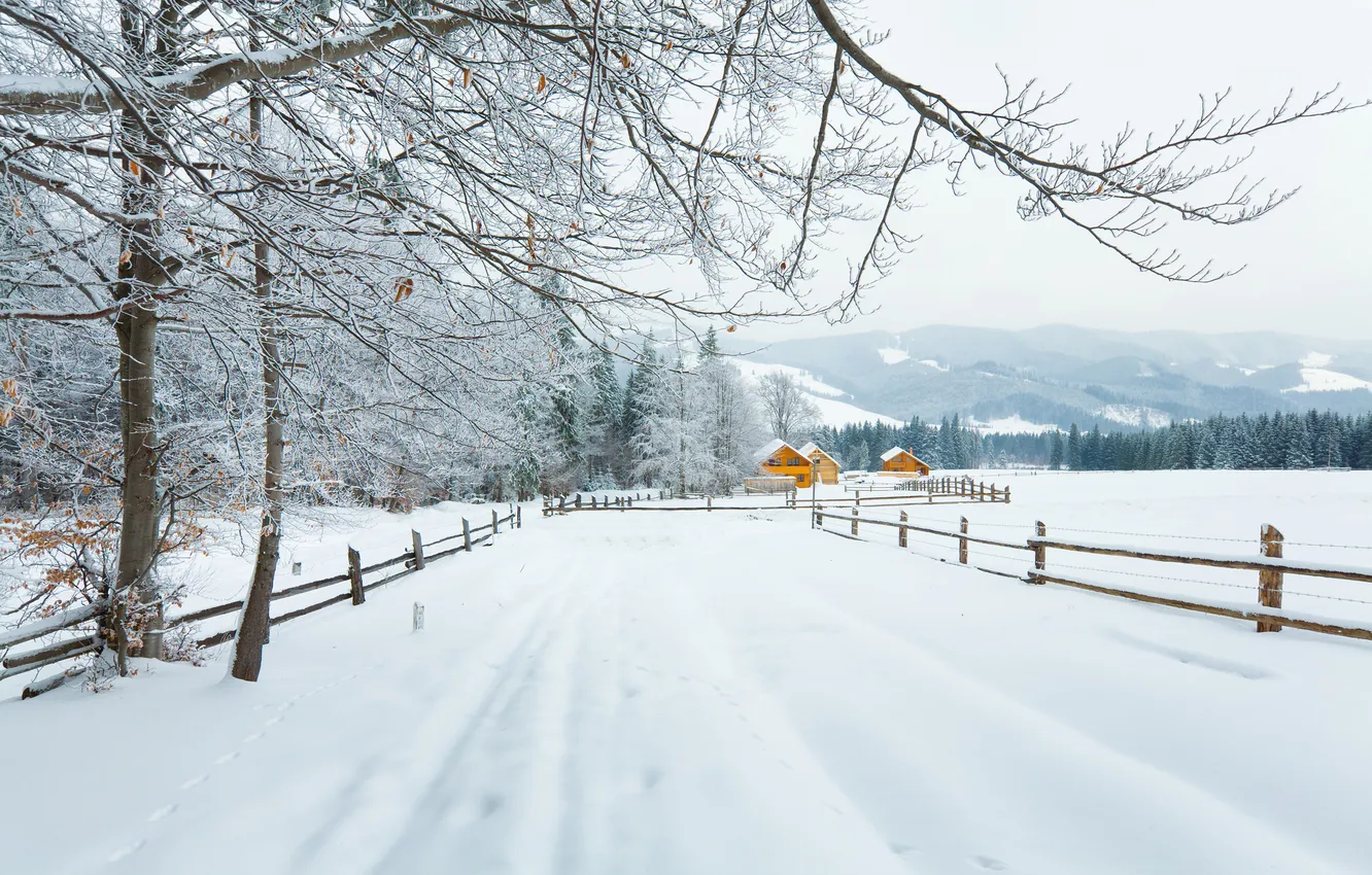 Photo wallpaper winter, road, forest, snow, trees, mountains, branches, nature