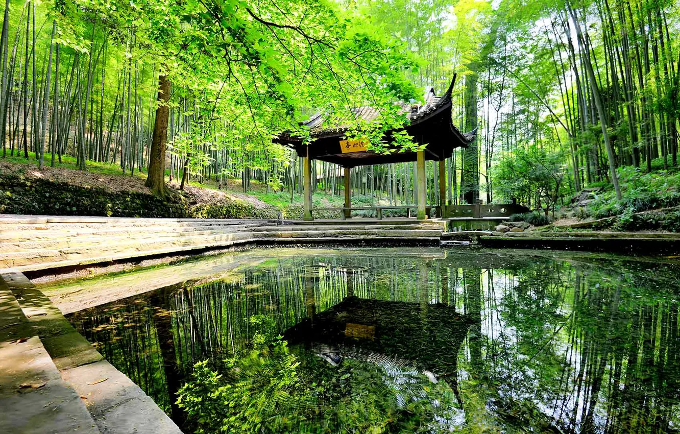 Photo wallpaper trees, pond, Park, garden, China