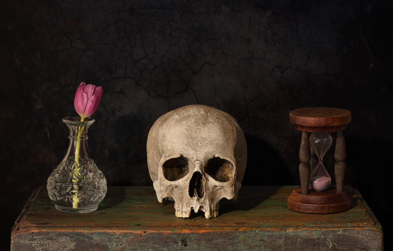 Photo wallpaper flowers, style, the dark background, skull, tulips, still life, box, items