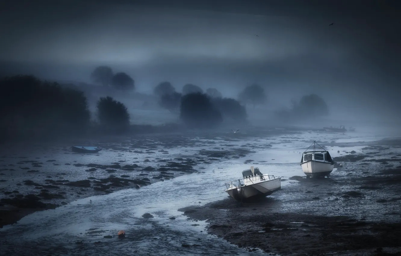 Photo wallpaper night, fog, river, boats