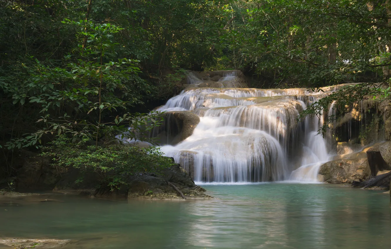 Photo wallpaper water, trees, nature, stones, pond