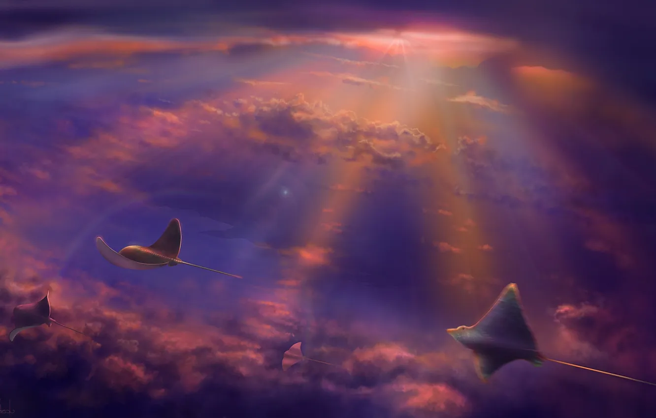 Photo wallpaper the sky, flight, being, art, SKAT