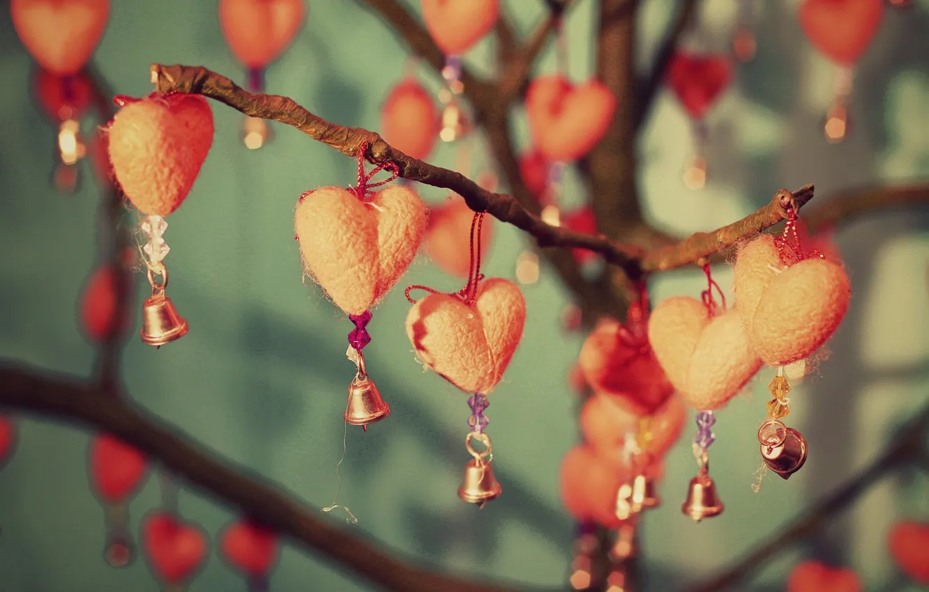 Photo wallpaper flowers, branches, sprig, background, widescreen, Wallpaper, heart, hearts