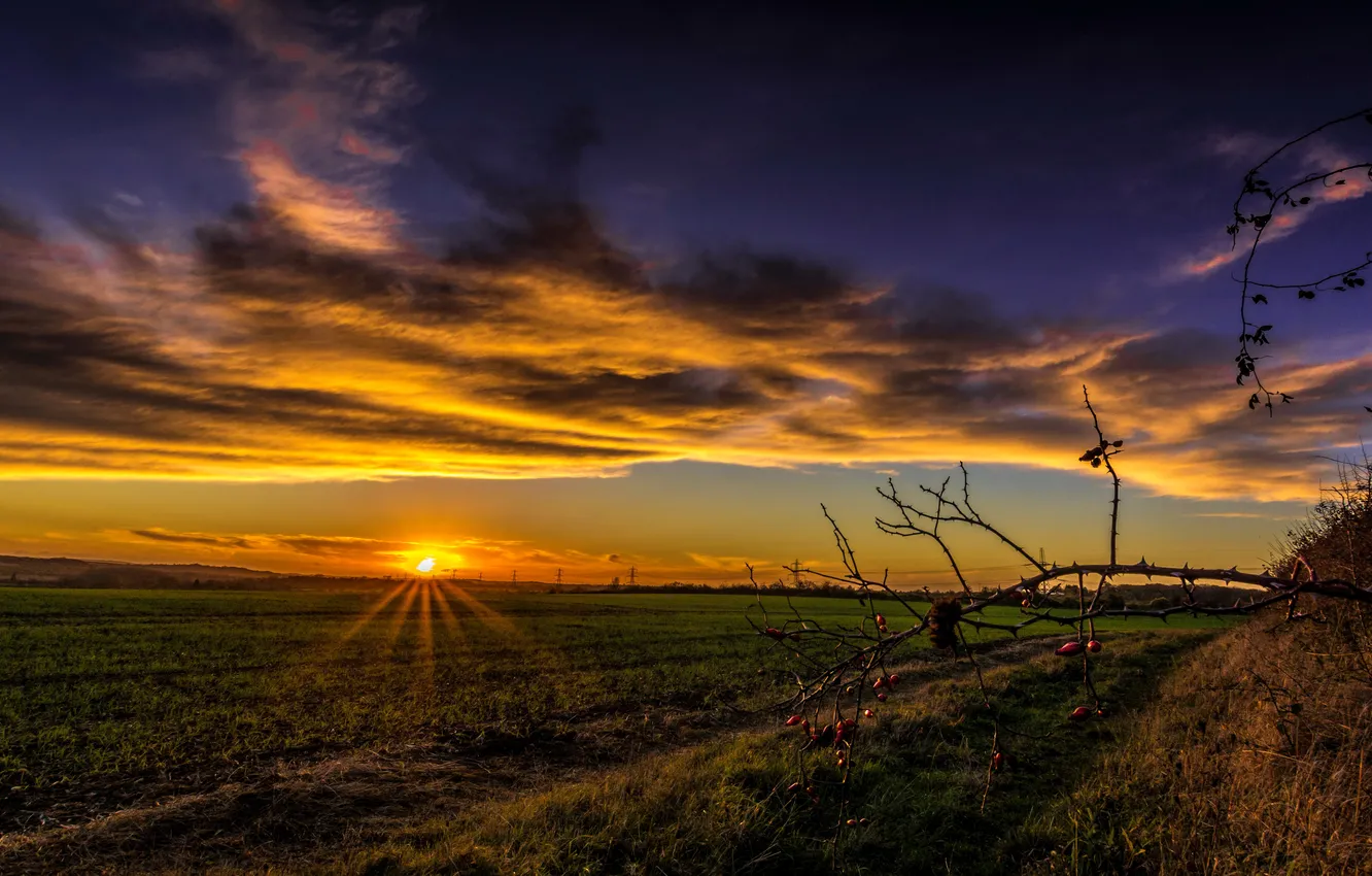 Photo wallpaper field, the sky, clouds, sunset, the rays of the sun