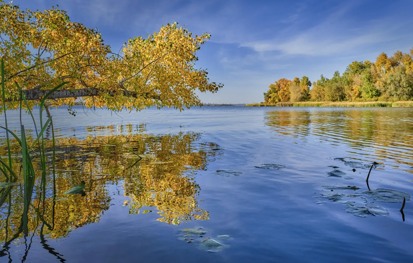Photo wallpaper autumn, the sky, trees, landscape, nature, reflection, river