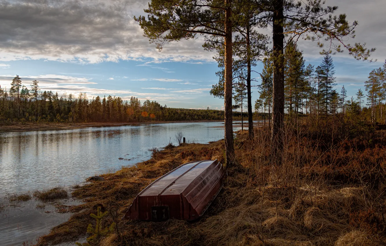 Photo wallpaper autumn, forest, the sky, clouds, trees, branches, river, shore
