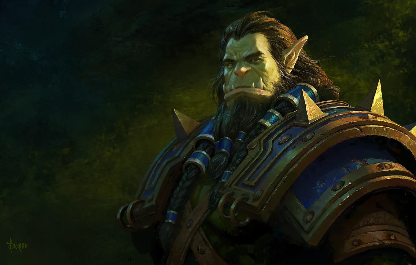 Photo wallpaper armor, World of Warcraft, armor, Orc, Thrall, Thrall