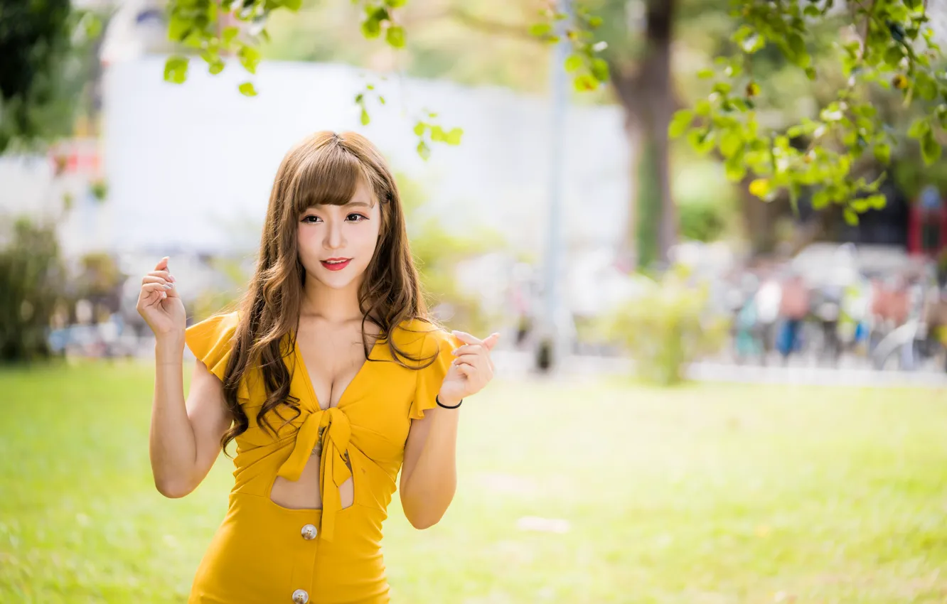 Photo wallpaper girl, dress, Asian, bokeh