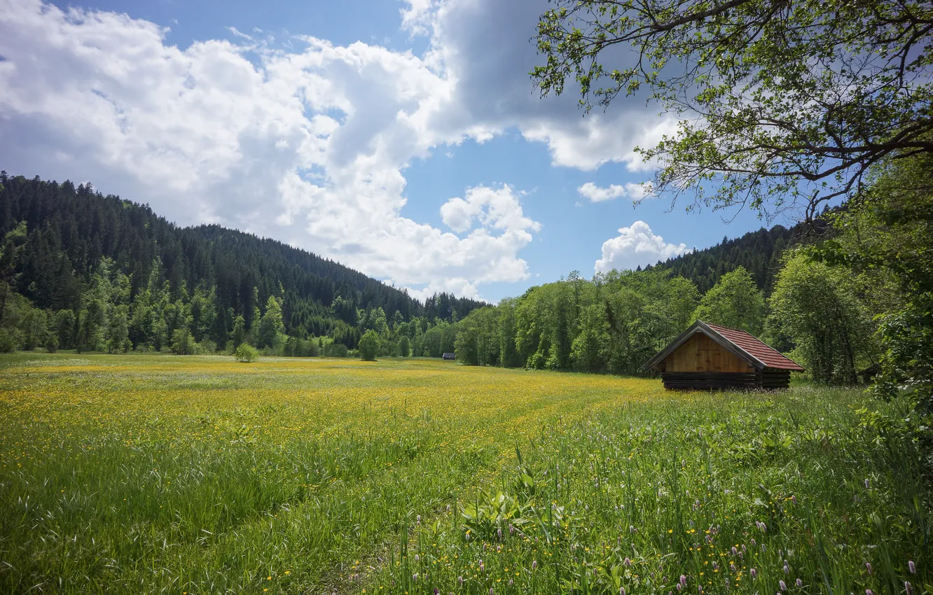 Photo wallpaper summer, Germany, Bayern, meadow, Rock be